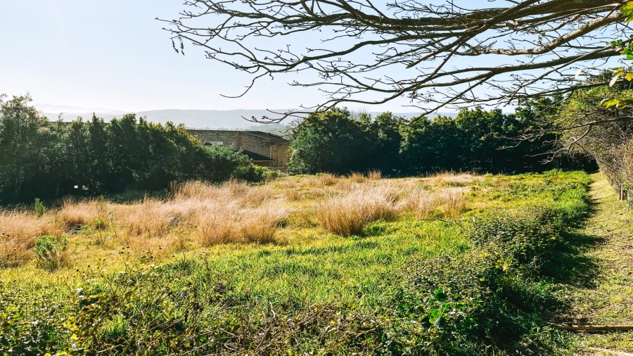 0 Bedroom Property for Sale in Rexford Western Cape